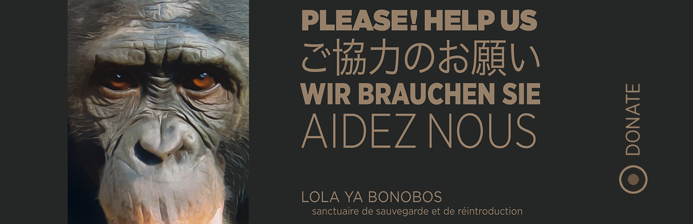 Projet-v3-AnnonceBonobos-1200px